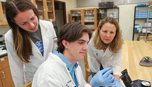 students working with faculty in a lab